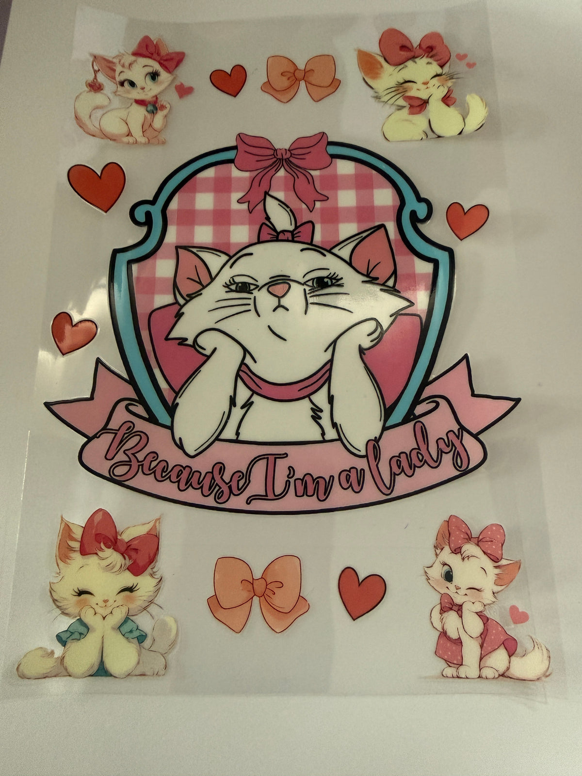 “Because I’m a lady” A5 wrap