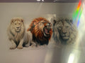 Lions 16oz cup wrap